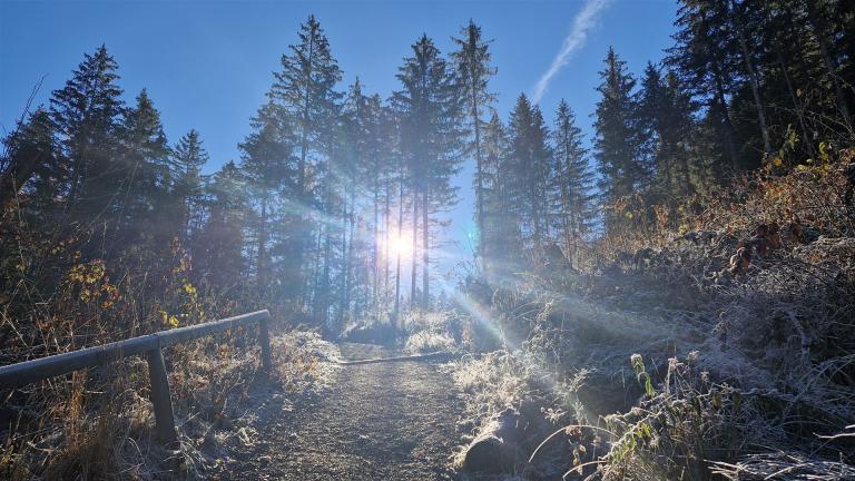 Weg zum Piburger See