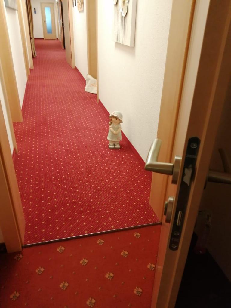.......Besuch in der Ferienwohnung 4.........