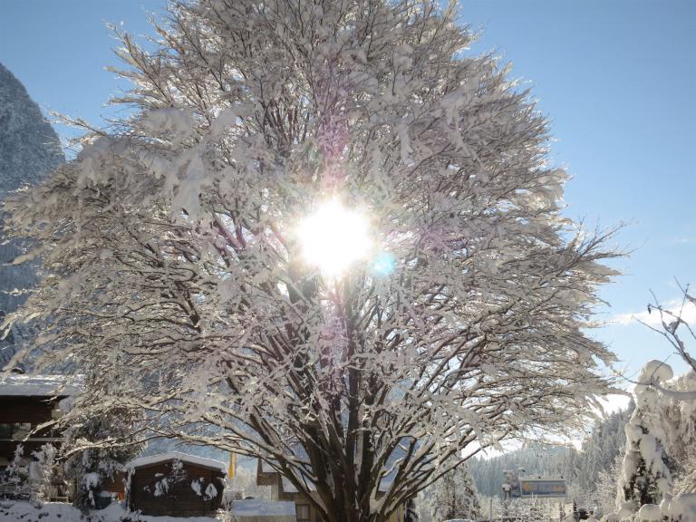 oetz_oetztal_winter