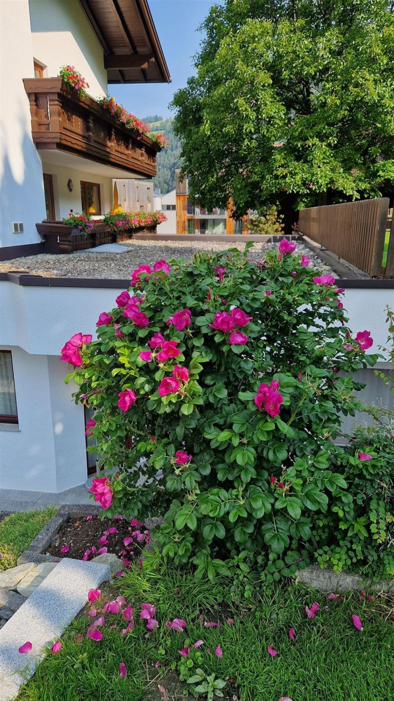 Ferienwohnung_Oetz_3