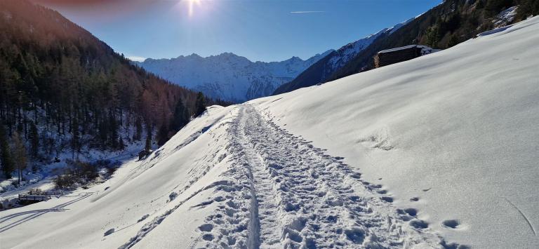 in Niederthai....Höhenweg..