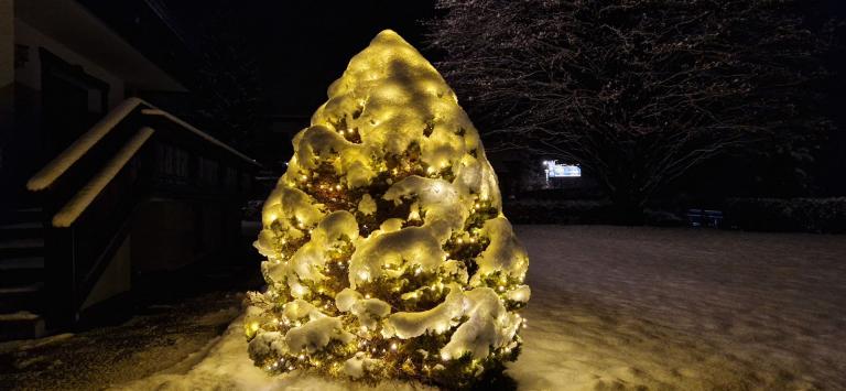 Oetz, Haus Marita, Christbaum