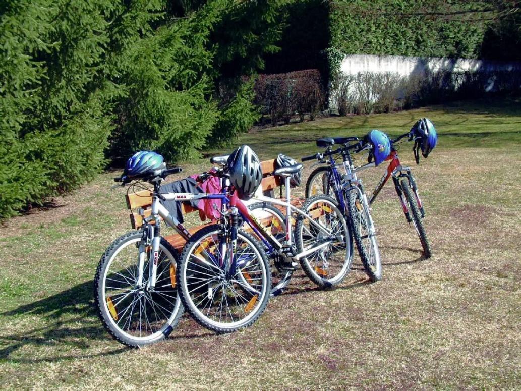 Gratis Mountainbikeverleih